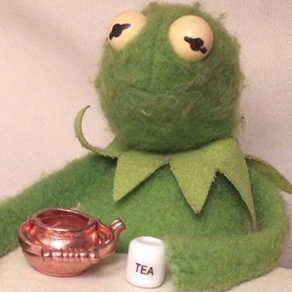 Meet your Posher, Stella